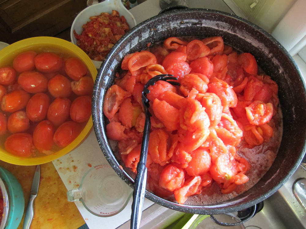 Blanching & peeling tomatoes