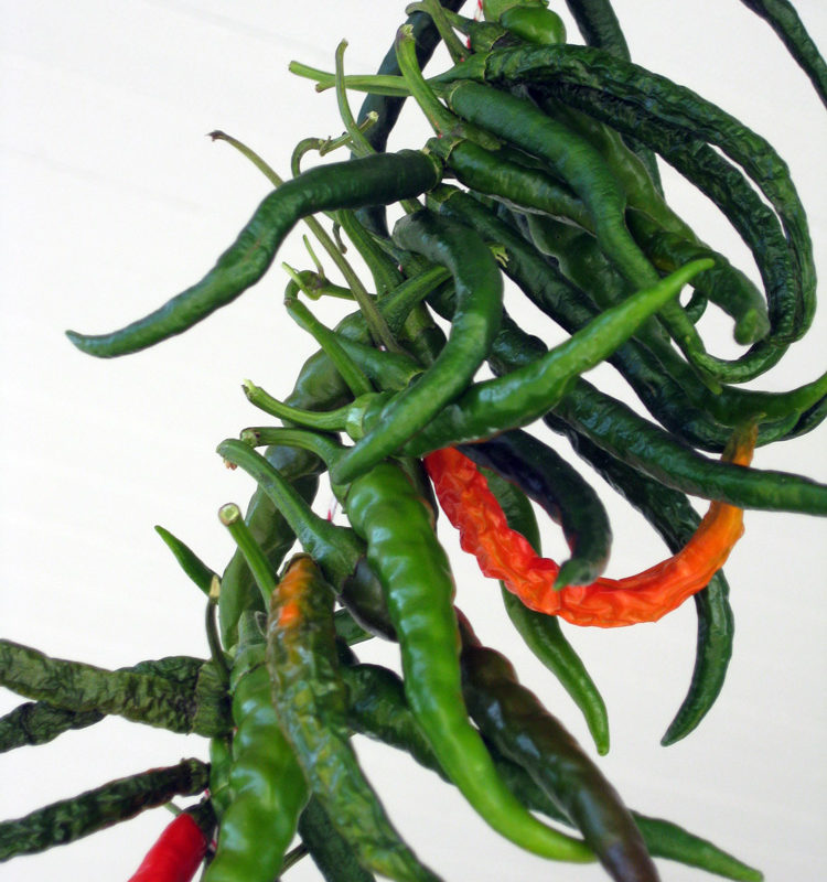 Pretty & practical: Stringing hot peppers