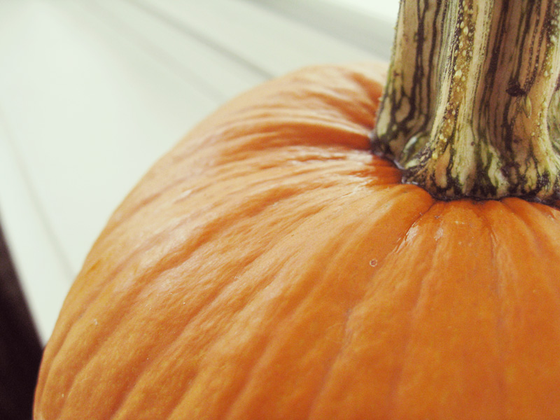 Tutorial: How to make pumpkin puree