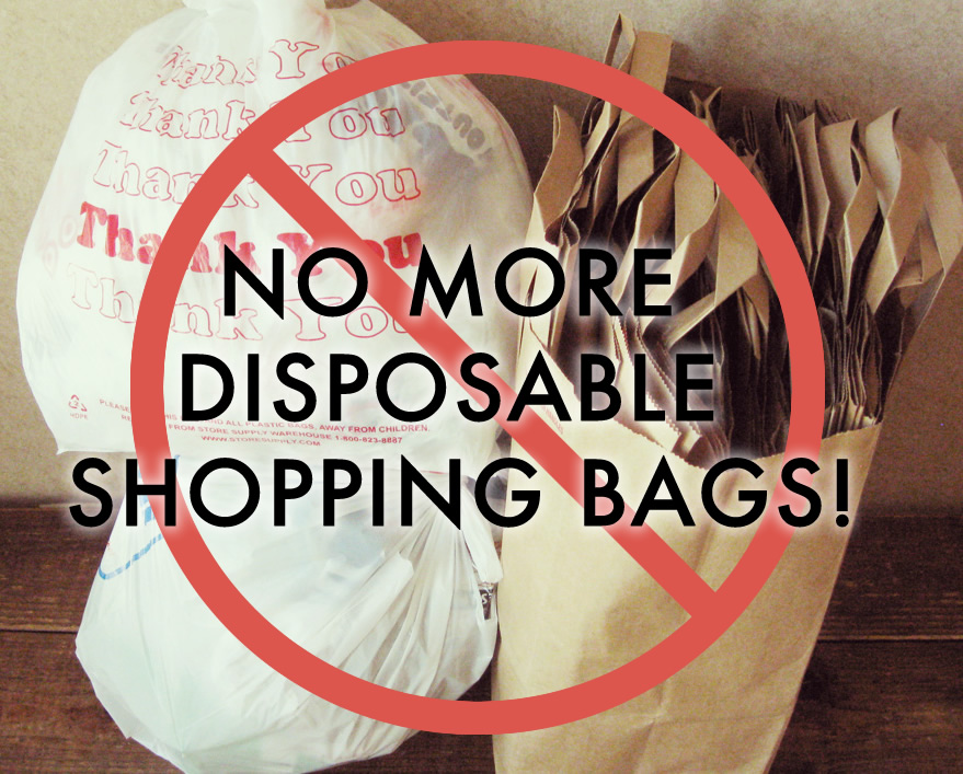 No more disposable shopping bags!