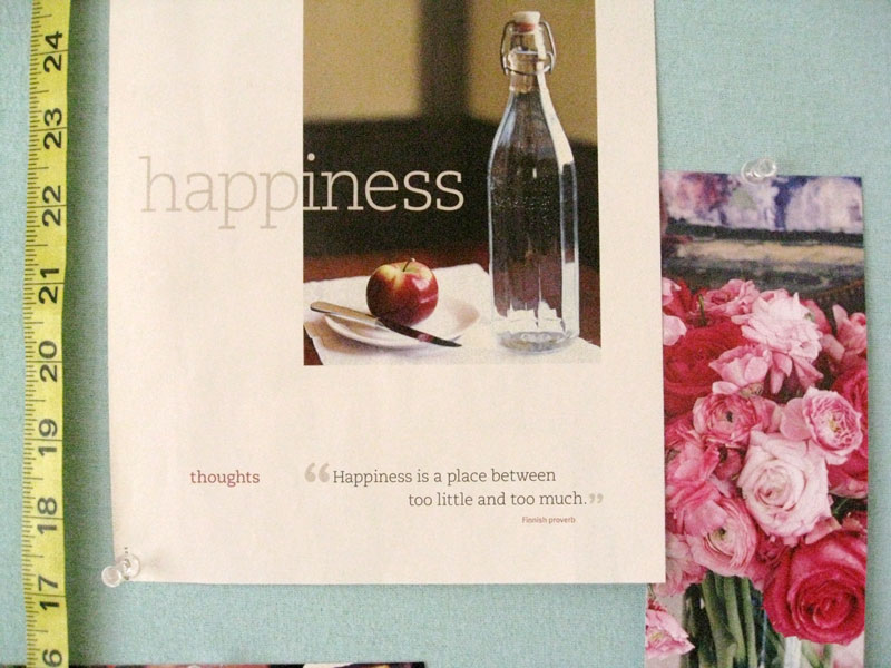 Favorite quote: Happiness is a place between too little and too much.