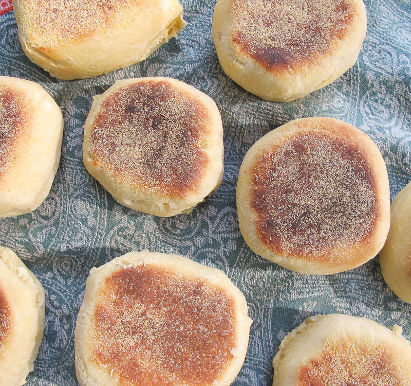 Homemade english muffins