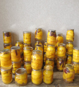 Homemade canned peaches