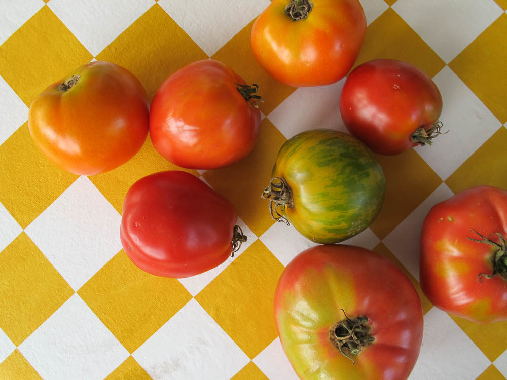 Recipes to use tomatoes