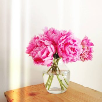 The highlight of my June is always peonies. My three peony bushes in the backyard have kept me well-stocked with fluffy pink bouquets for the last few weeks.