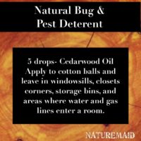 Natural bug & pest deterrent